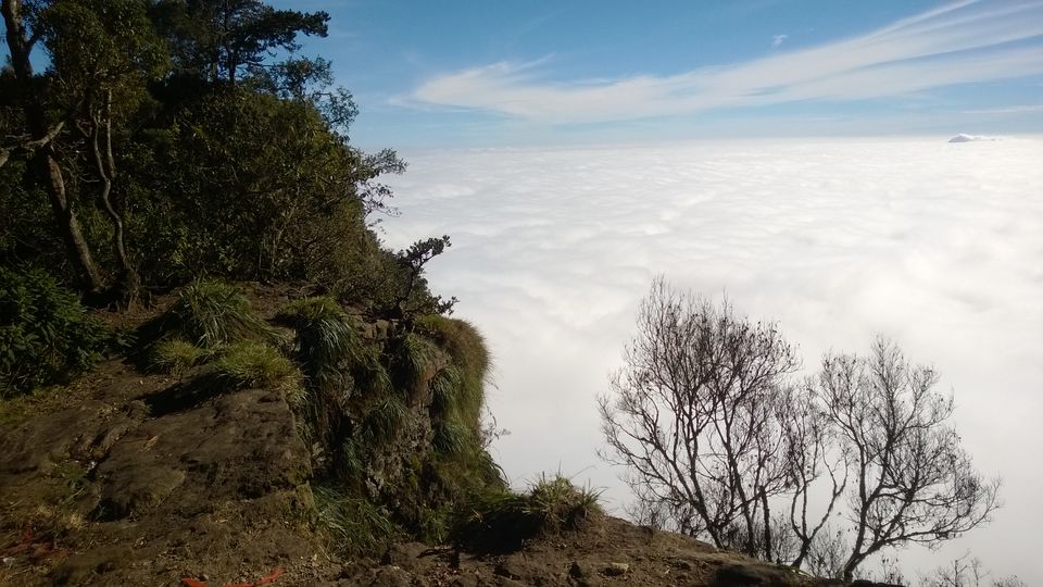 Photo of A weekend getaway - Kodaikanal 37/45 by Monali Monalisa