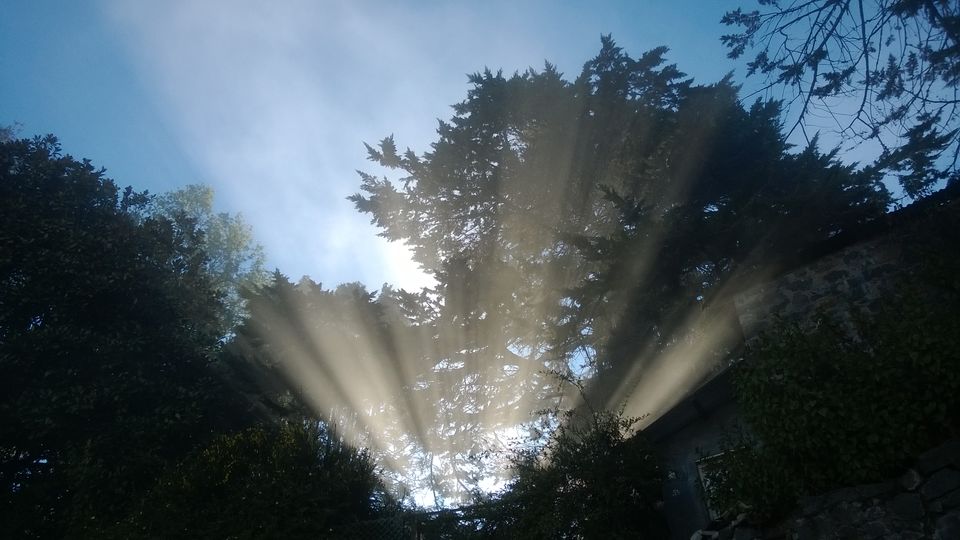 Photo of A weekend getaway - Kodaikanal 39/45 by Monali Monalisa