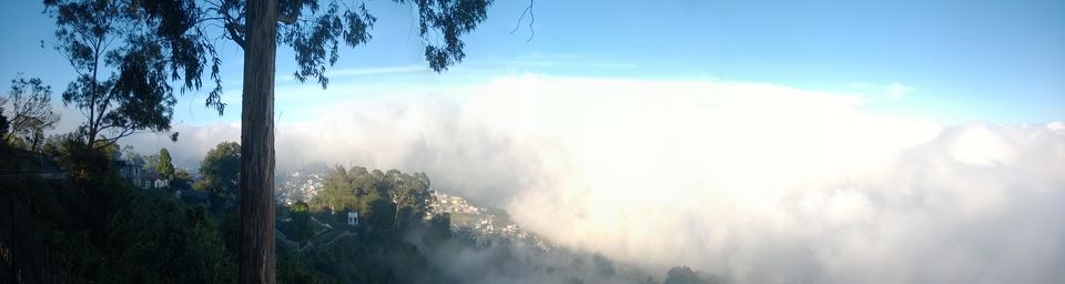 Photo of A weekend getaway - Kodaikanal 40/45 by Monali Monalisa