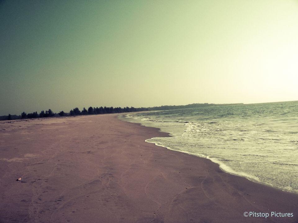 Photo of Scuba diving at Malvan 16/17 by The Tropical River