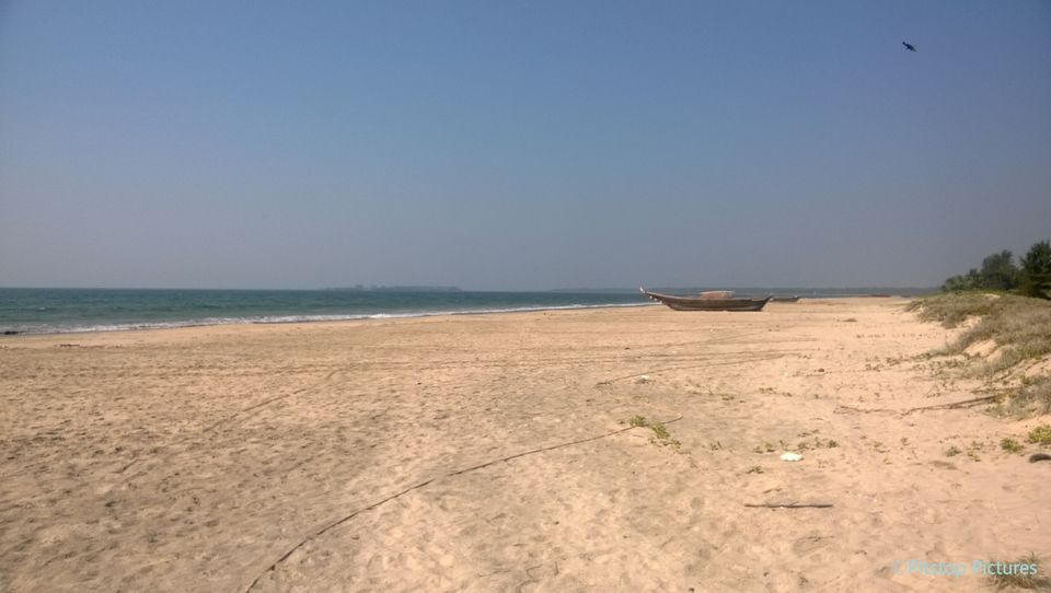 Photo of Scuba diving at Malvan 17/17 by The Tropical River