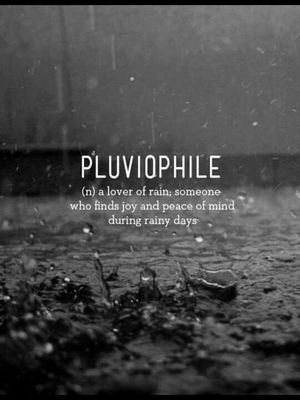 Pluviophile diaries – Bangalore during rain