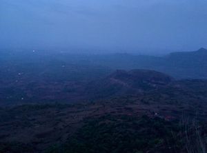 Trekking through the night with fireflies