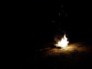 Wilderness Absolute on the banks of Kaveri