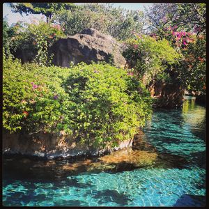 4 Days of bliss in Bali