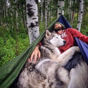 Meet Loki, The Wolfdog Who Is On An Epic Adventure With His Human Partner