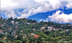 Living in the Hills- Kalimpong