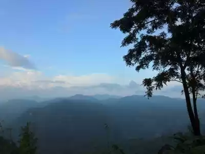 Photo of Let's trek the mount
