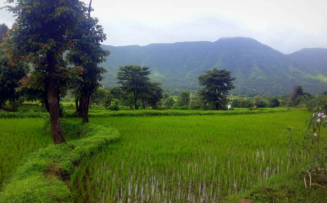 raireshwar fort in bhor located near pune check out raireshwar trek guide on tripoto tripoto