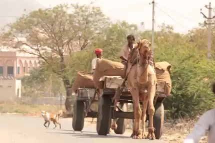 Photo of Traveling-high in Pu