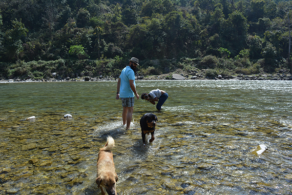 Photo of Calls To Corbett 