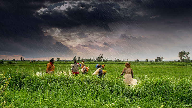 11 Photographs That Will Show You How Beautiful India Is During The Monsoon Tripoto