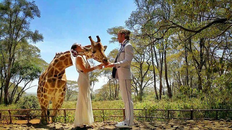 Photo of Best Wedding Ever: Couple Decides To Get Married 38 Times All Around The World. 5/10 by Gunjan Upreti