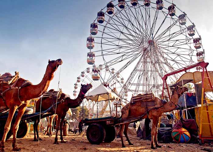 Photo of 10 Things To Try In India When You’re In Your 20’s 6/9 by Uday Manivannan