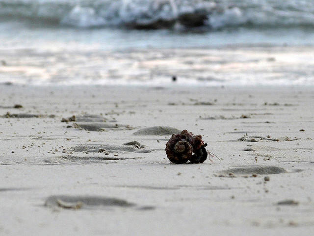 Lost And Found At Andaman Islands Tripoto