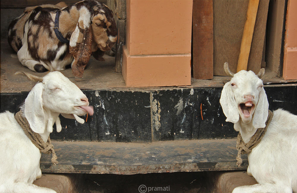 Photo of 12 Amazing Photographs of MUMBAI That Bring Out The Soul Of The City! 14/26 by Pramati Anand