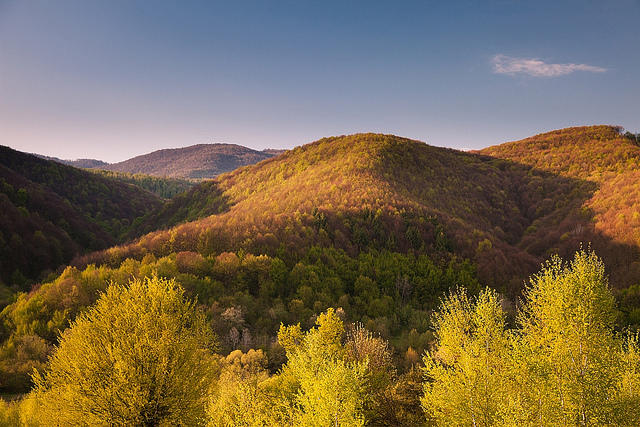 Photo of 6 Places in the World You Should Visit Even if You're Scared 4/7 by Nikita Mandhani