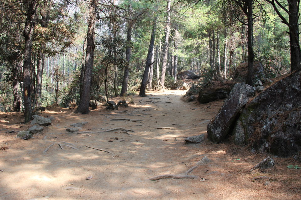 Photos of Tiger's Nest, Paro, Bhutan 1/1 by Ankit Garg