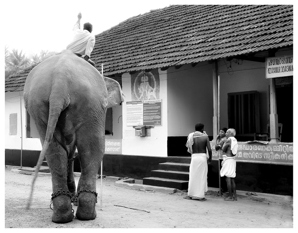 Pazhayannur Bhagavathy Temple A very unique temple in Kerala. by Manoo J. Tripoto