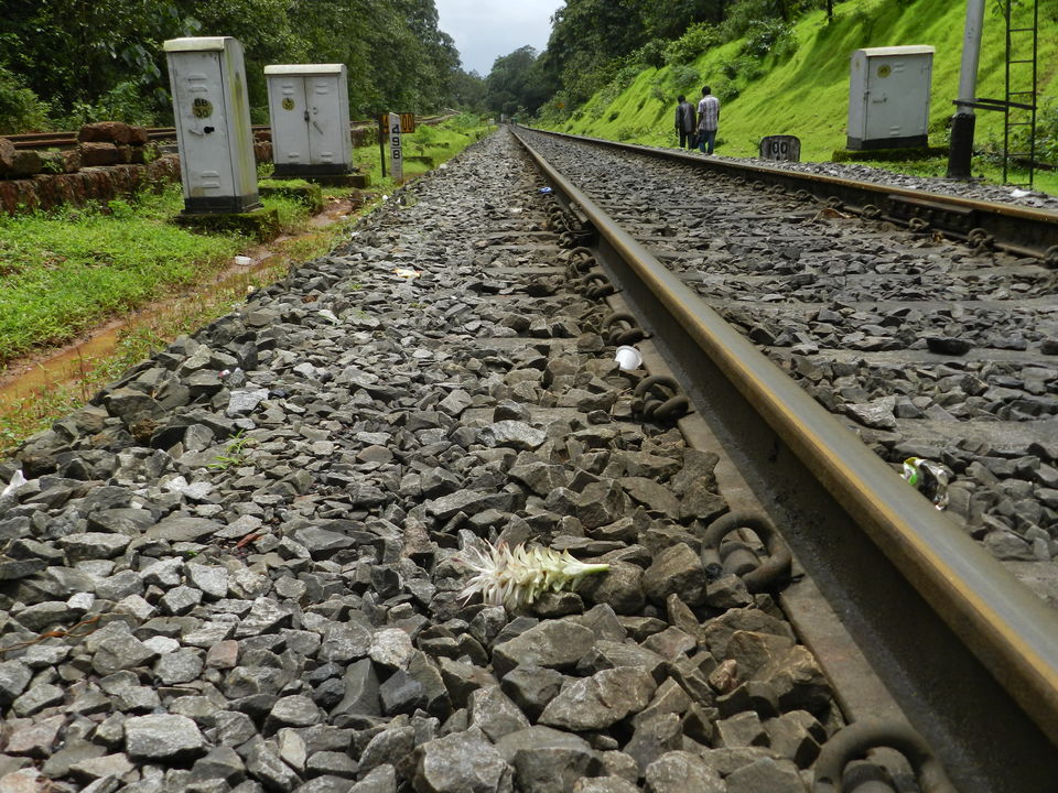 Photos of 14 km walk over the gravelly track  4/13 by Chhaya Methani