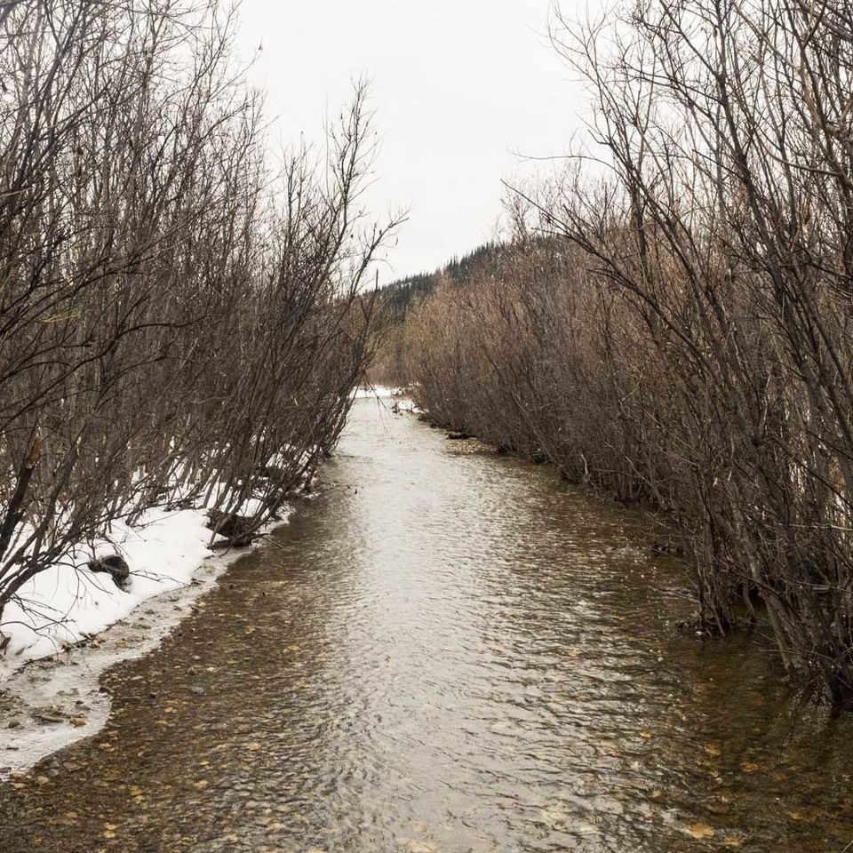 Hiking the Stampede Trail to the Magic Bus by Dwayne ...