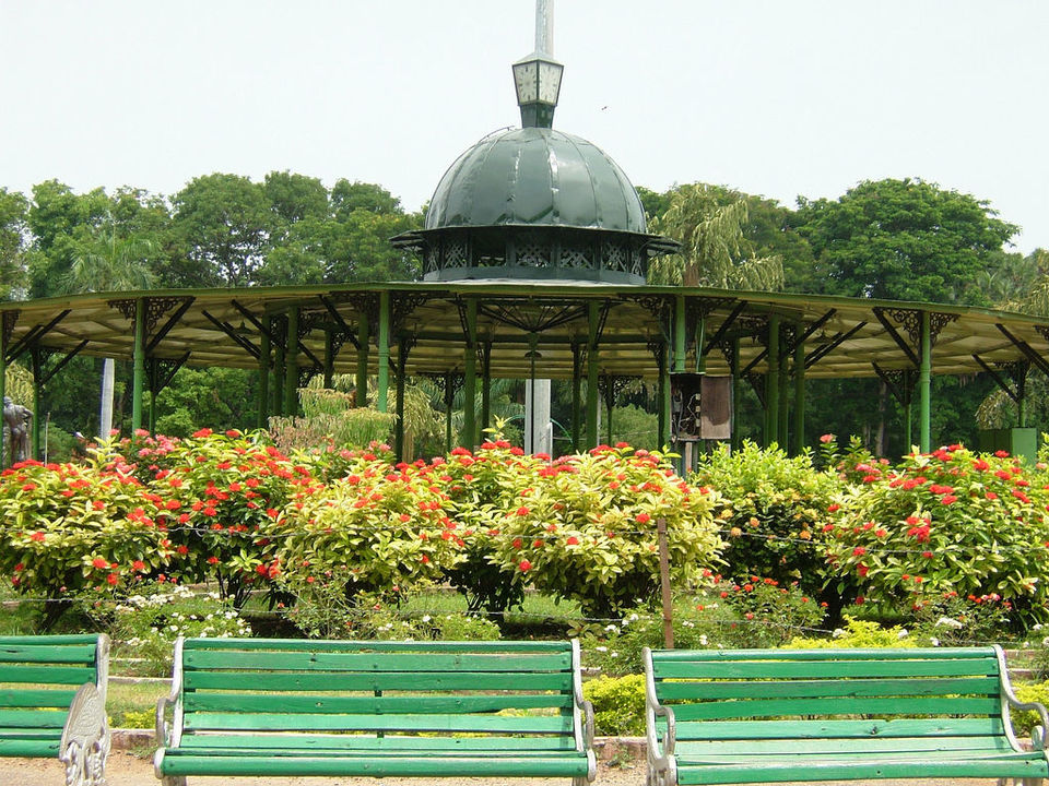 A perfect day in VadodaraSanskari Nagri by Suruchi Bhavsar Tripoto