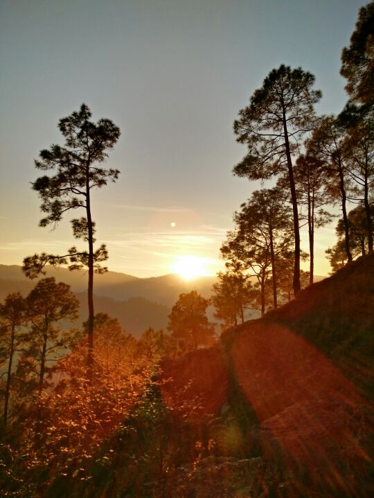 ranikhet sunrise