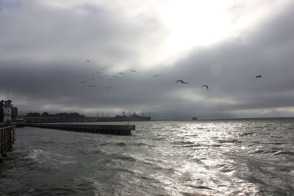 I Left My Heart In San Francisco By Jatin Jindal Tripoto