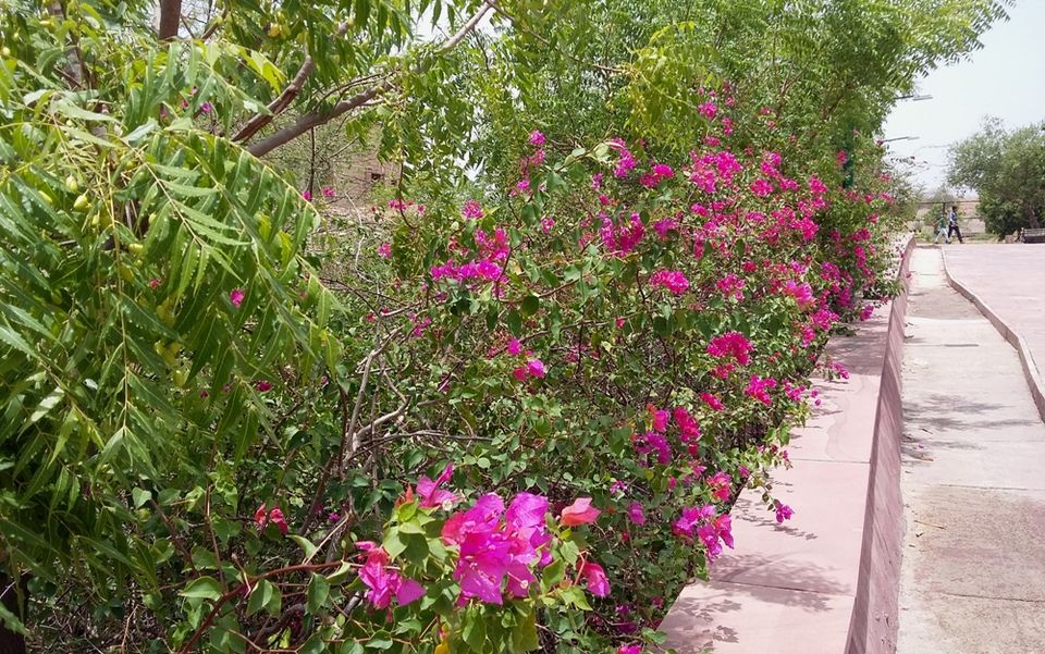 Photos of Machia- New Addition To Jodhpur Travel Itinerary 10/18 by Rakesh Giri Goswami