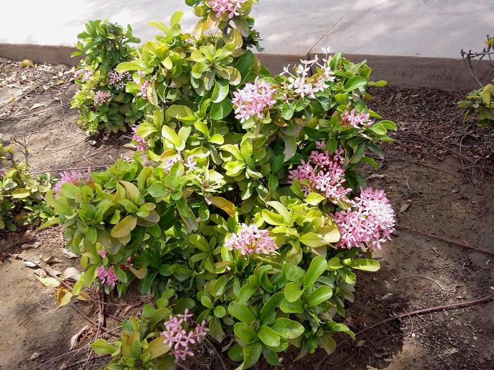 Photos of Machia- New Addition To Jodhpur Travel Itinerary 11/18 by Rakesh Giri Goswami