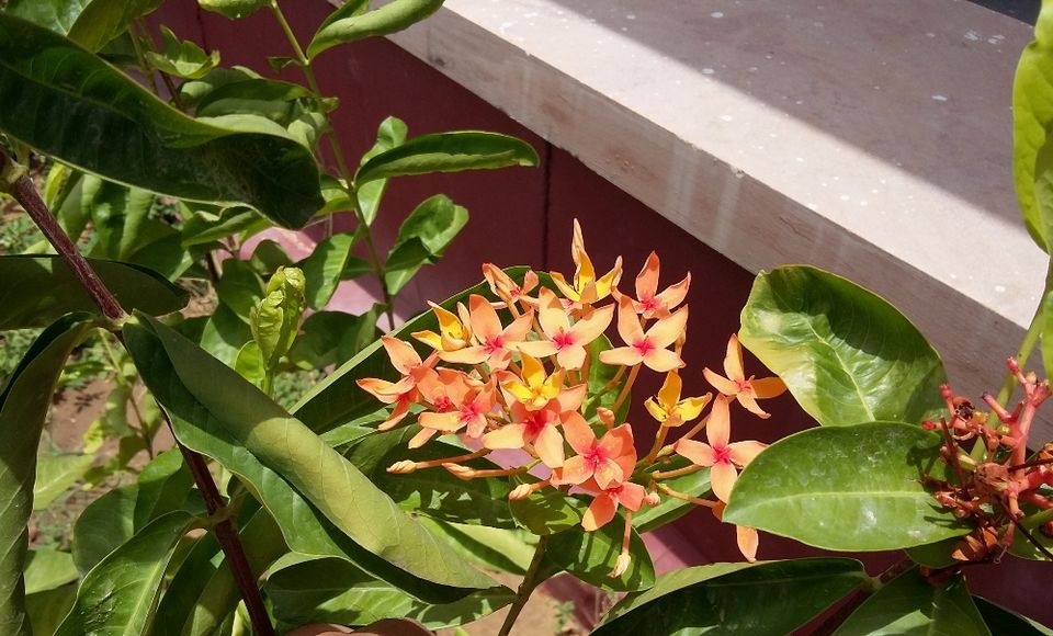 Photos of Machia- New Addition To Jodhpur Travel Itinerary 12/18 by Rakesh Giri Goswami