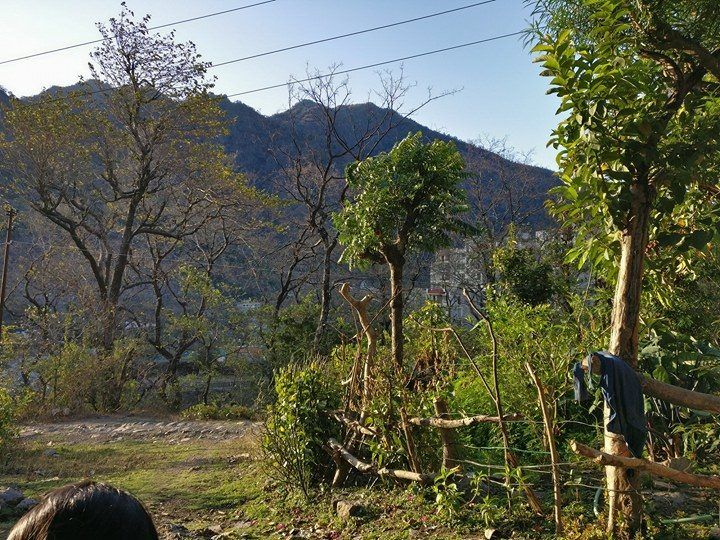 Photos of Lakshman Jhoola Taxi Stand, Laxman Jhula, Rishikesh, Uttarakhand, India 2/7 by pawar sheetal