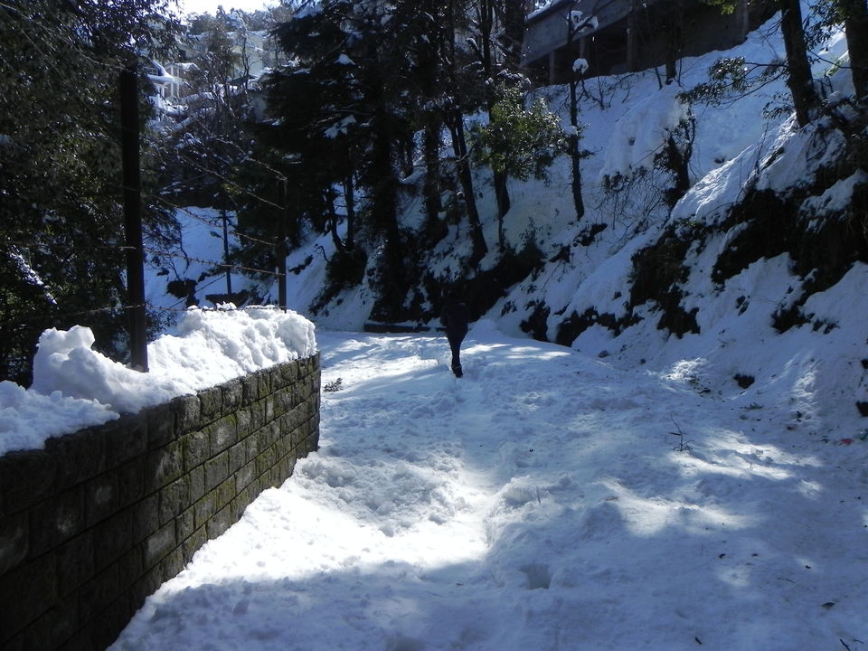dalhousie chat Chat with local people in dalhousie and himachal pradesh right now. dalhousie chat Chat with local people in dalhousie and himachal pradesh right now.