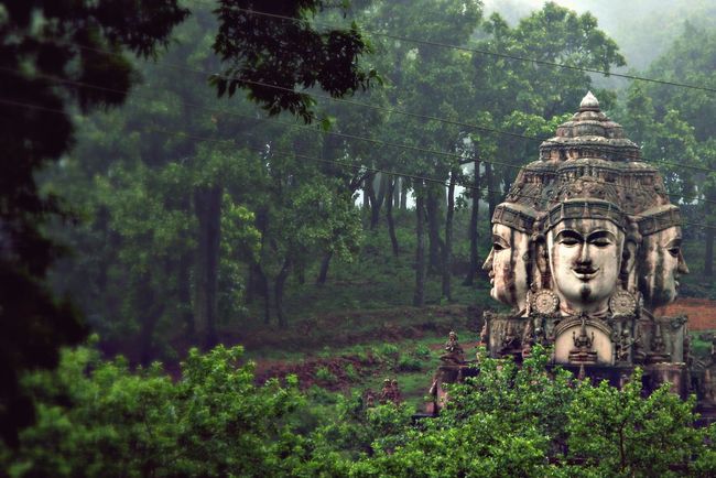 10 Famous Biosphere Reserves in India That You Should Visit If You Really  Love Nature