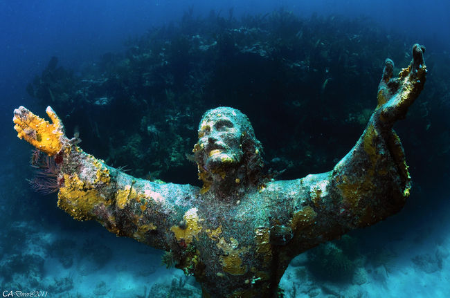 Travel Under Water To See These Unbelievable Sculptures by Priyam Bagga ...