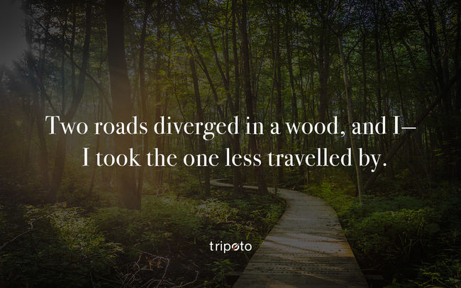 51 Best Travel Quotes Can Make Your Day - Tripoto