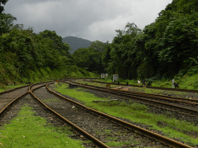 Photos of Beautiful monsoon washed the place green 3/13 by Chhaya Methani