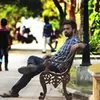 Photo of Jamnash Thattarakkal