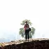 Photo of Snehal Tendulkar