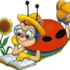 Photo of The Ladybird Wanders