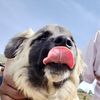 Profile photo of Udai Singh