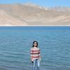 Profile photo of Pradeepta Mathur