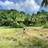 Profile photo of WanderingBytes