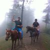 Profile photo of Tushar
