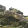 Photo of Talking_Trails_Himalayas
