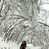 Photo of Akanksha Mishra
