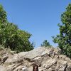 Profile photo of Rohini Gauba