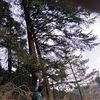 Profile photo of Explore with Hemendra