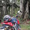 Profile photo of Naren Kumar