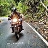 Profile photo of c_avalier_